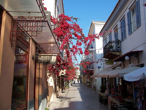 Bougainvillea growing happily in the streets of Greece.