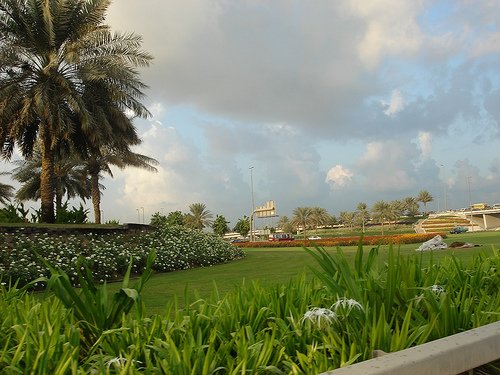 Dubai's Winter Dubai's Winter