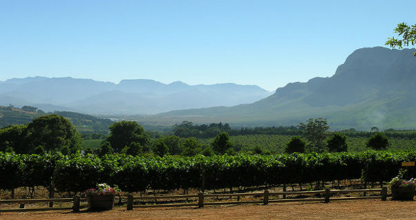 Cape Winelands