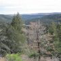 Lincoln national forest Ruidoso Mexico
